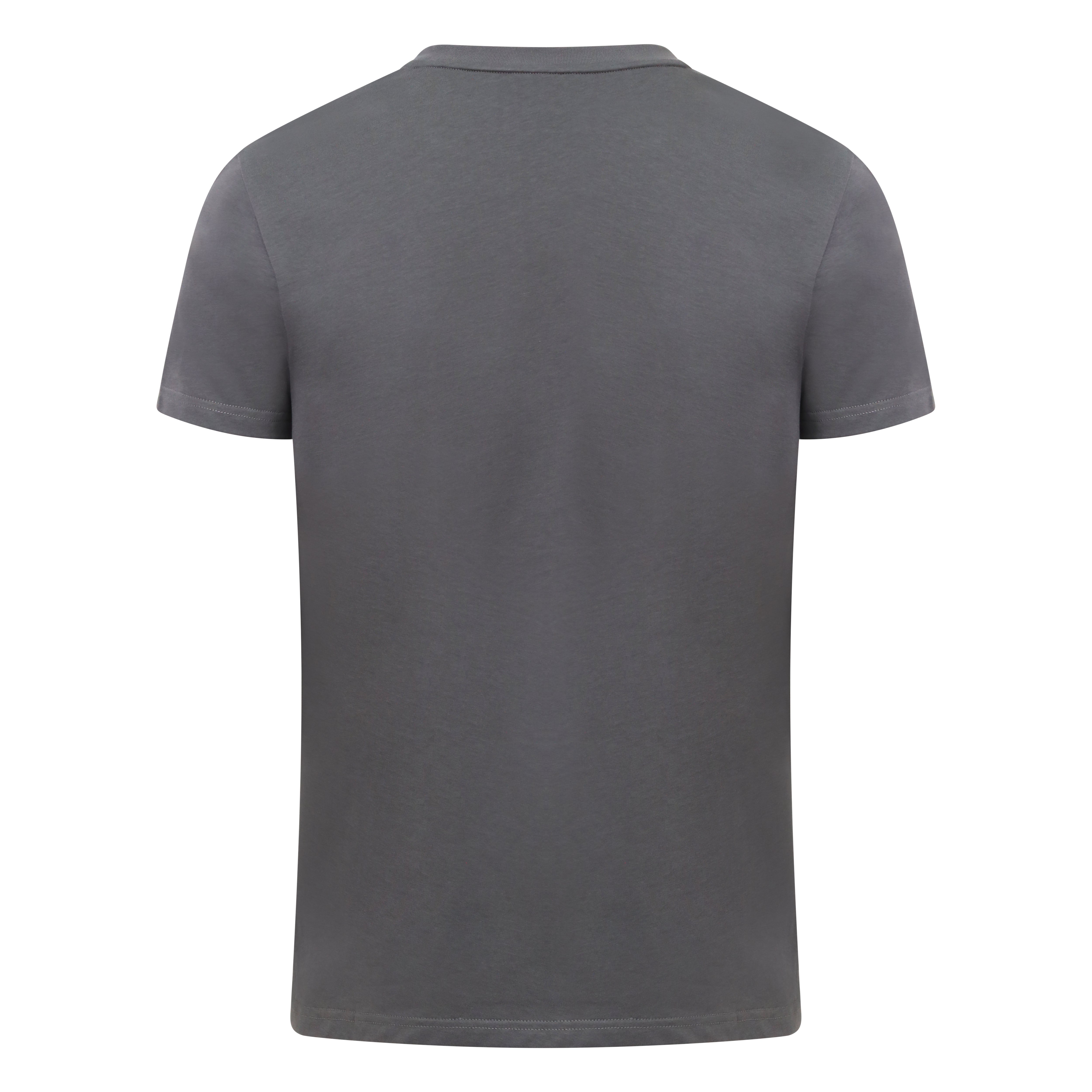 T-Shirt, HWC111 | Charcoal