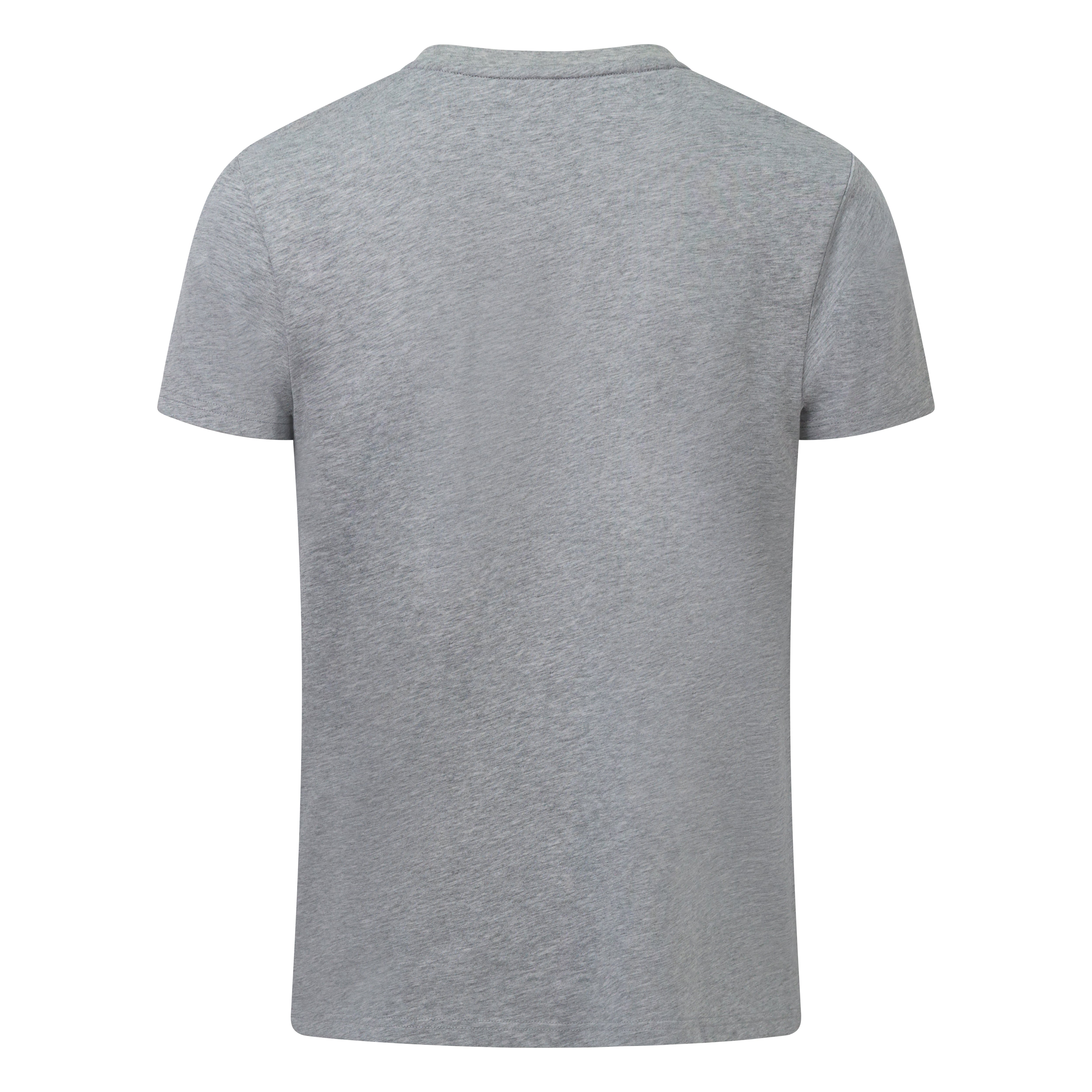 T-Shirt, HWC113 | Light grey