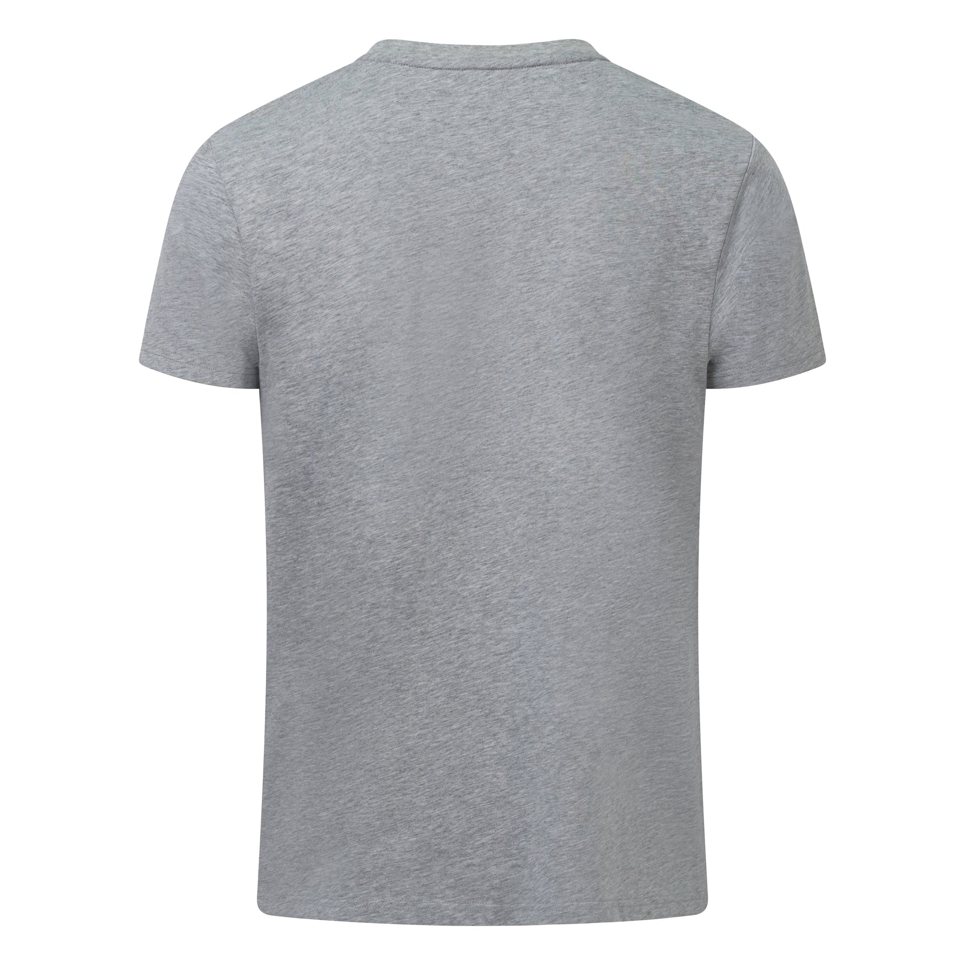 Light Grey T-shirt for Men & Women | Hagley West